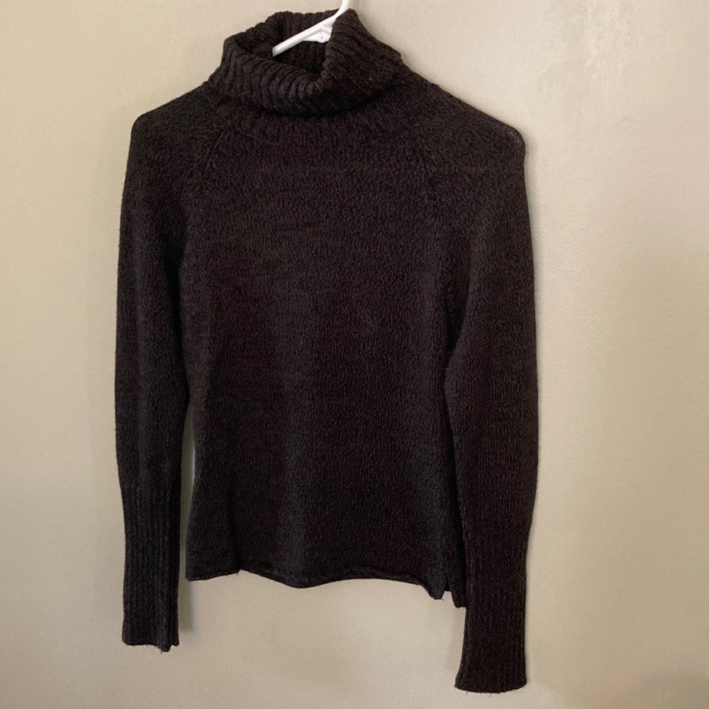 🩷 The Limited Turtleneck Sweater
